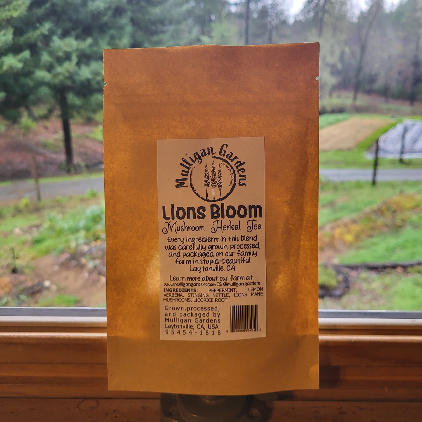 Lions Bloom Tea